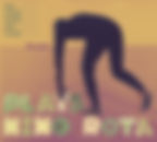 Des Lions Pour Des Lions PLAYS NINO ROTA.jpg